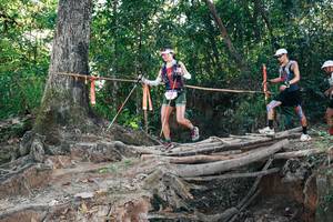 BIB: 
                            <button type="button" onclick="openModal(27303223)" class="btn btn-primary btn-sm float-right btn-popup" data-toggle="modal" data-target=".modal-high-quality">
                        <i class="fas fa-shopping-cart"></i> Add to Cart
                    </button>
                                            <button type="button" onclick="isThisMe(27303223, true)" class="btn btn-success btn-sm float-right btn-popup btn-isme hidden" data-toggle="tooltip" data-placement="bottom" title="นี่คือรูปของคุณใช่ไหม คลิกที่นี่เพื่อเอาเข้าอัลบั้ม">
                        <i class="fas fa-plus"></i> Add to album
                    </button>
                    <button type="button" onclick="isThisMe(27303223, false)" class="btn btn-warning btn-sm float-right btn-popup btn-isnotme hidden">
                        <i class="fas fa-ban"></i> Remove from album
                    </button>